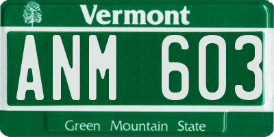 VT license plate ANM603