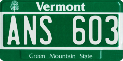 VT license plate ANS603