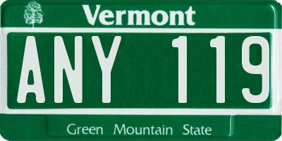 VT license plate ANY119