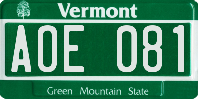VT license plate AOE081