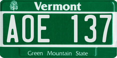 VT license plate AOE137