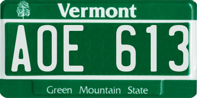 VT license plate AOE613