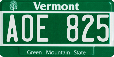 VT license plate AOE825