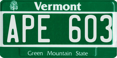 VT license plate APE603