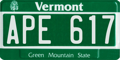 VT license plate APE617