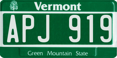 VT license plate APJ919