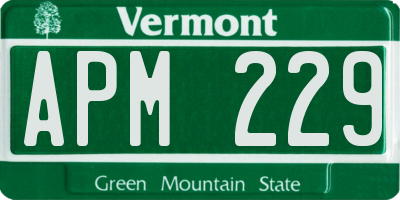 VT license plate APM229