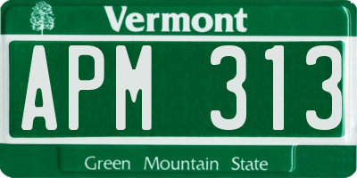 VT license plate APM313