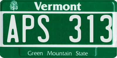 VT license plate APS313