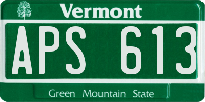 VT license plate APS613