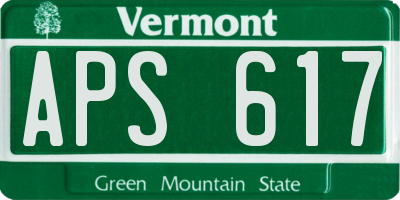 VT license plate APS617