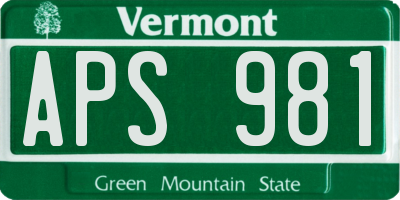 VT license plate APS981