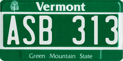 VT license plate ASB313
