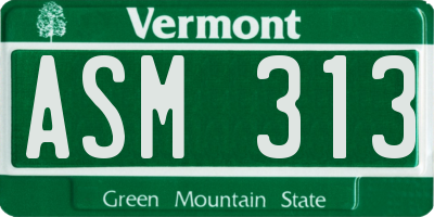 VT license plate ASM313