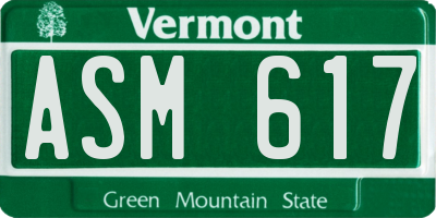 VT license plate ASM617