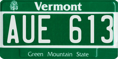 VT license plate AUE613