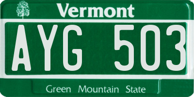 VT license plate AYG503