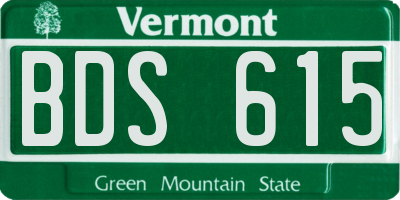 VT license plate BDS615
