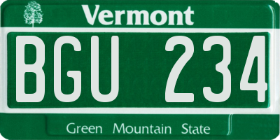 VT license plate BGU234