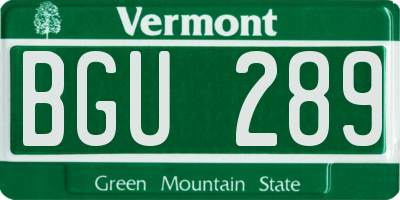 VT license plate BGU289