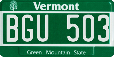 VT license plate BGU503