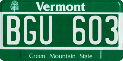VT license plate BGU603