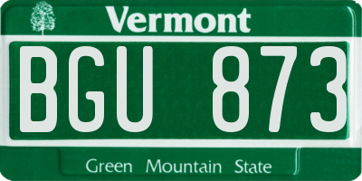 VT license plate BGU873