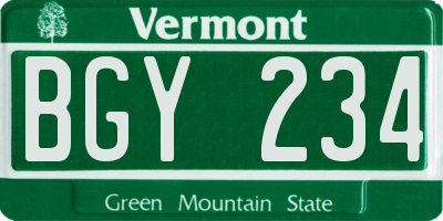 VT license plate BGY234