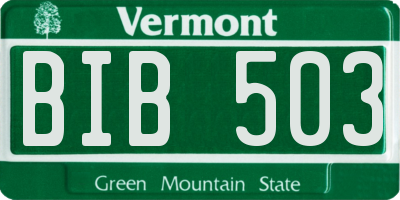 VT license plate BIB503