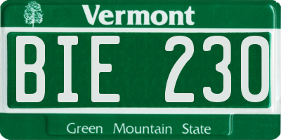 VT license plate BIE230