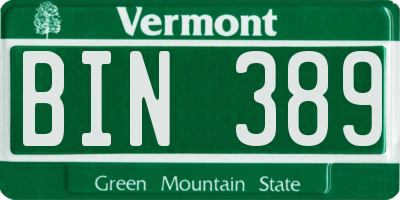 VT license plate BIN389