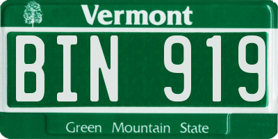VT license plate BIN919
