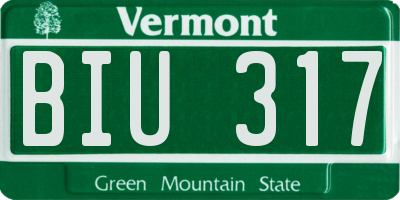 VT license plate BIU317