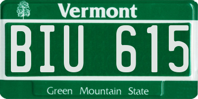 VT license plate BIU615