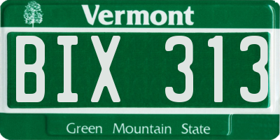 VT license plate BIX313