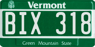 VT license plate BIX318