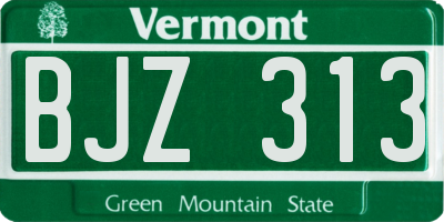 VT license plate BJZ313