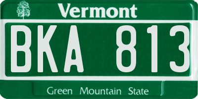 VT license plate BKA813
