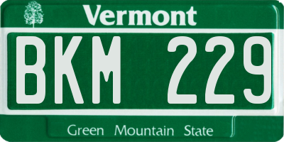 VT license plate BKM229