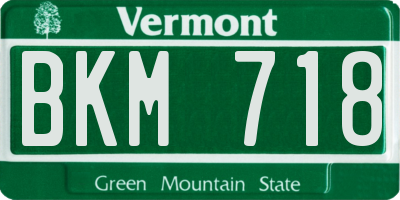 VT license plate BKM718