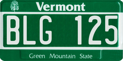 VT license plate BLG125