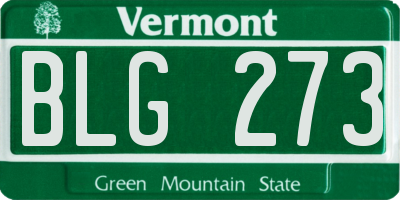VT license plate BLG273