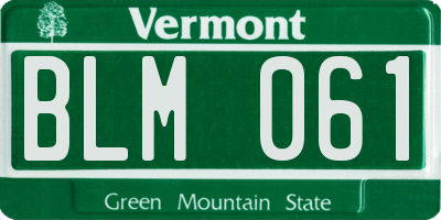 VT license plate BLM061