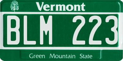 VT license plate BLM223