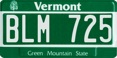 VT license plate BLM725