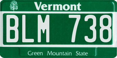 VT license plate BLM738