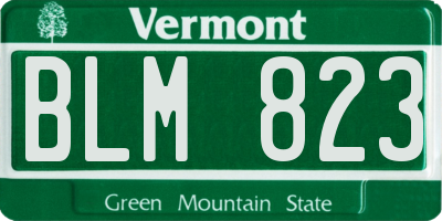 VT license plate BLM823