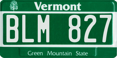 VT license plate BLM827