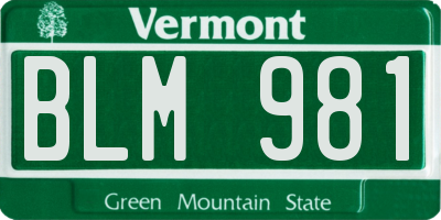 VT license plate BLM981