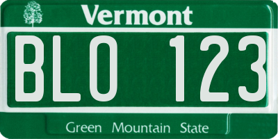 VT license plate BLO123